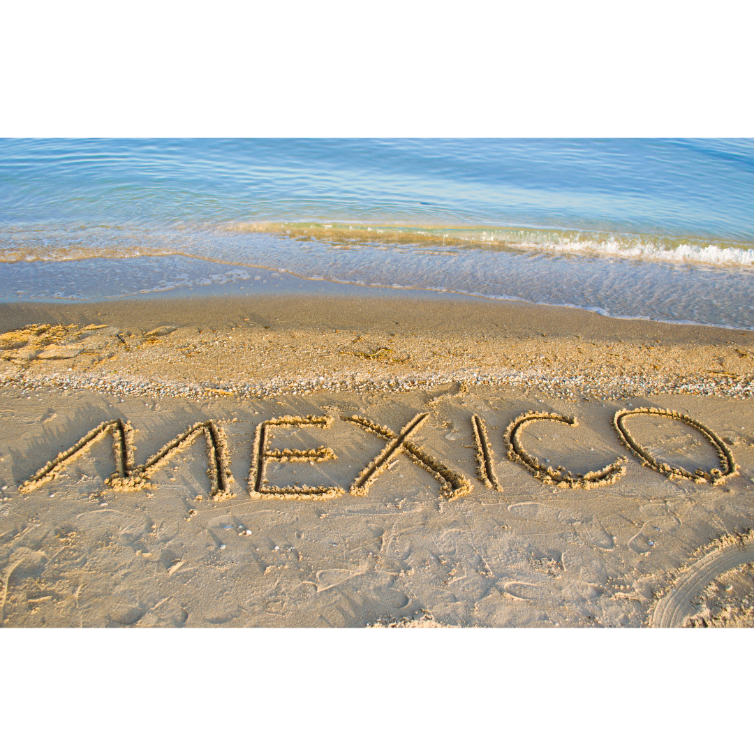 Mexico dia de los muertos 3 Frases IG feed 2