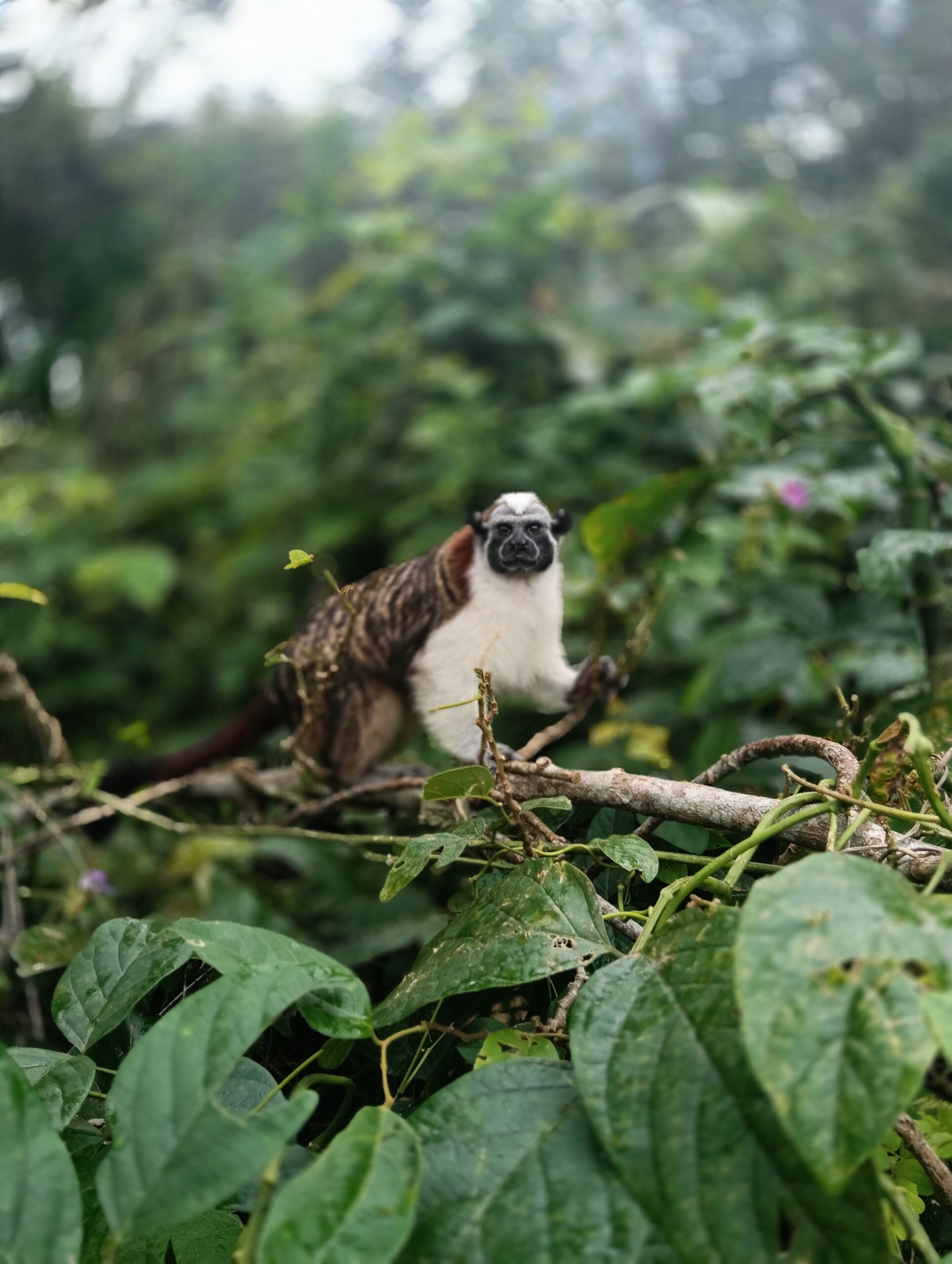 IMG20260103102043 scaled