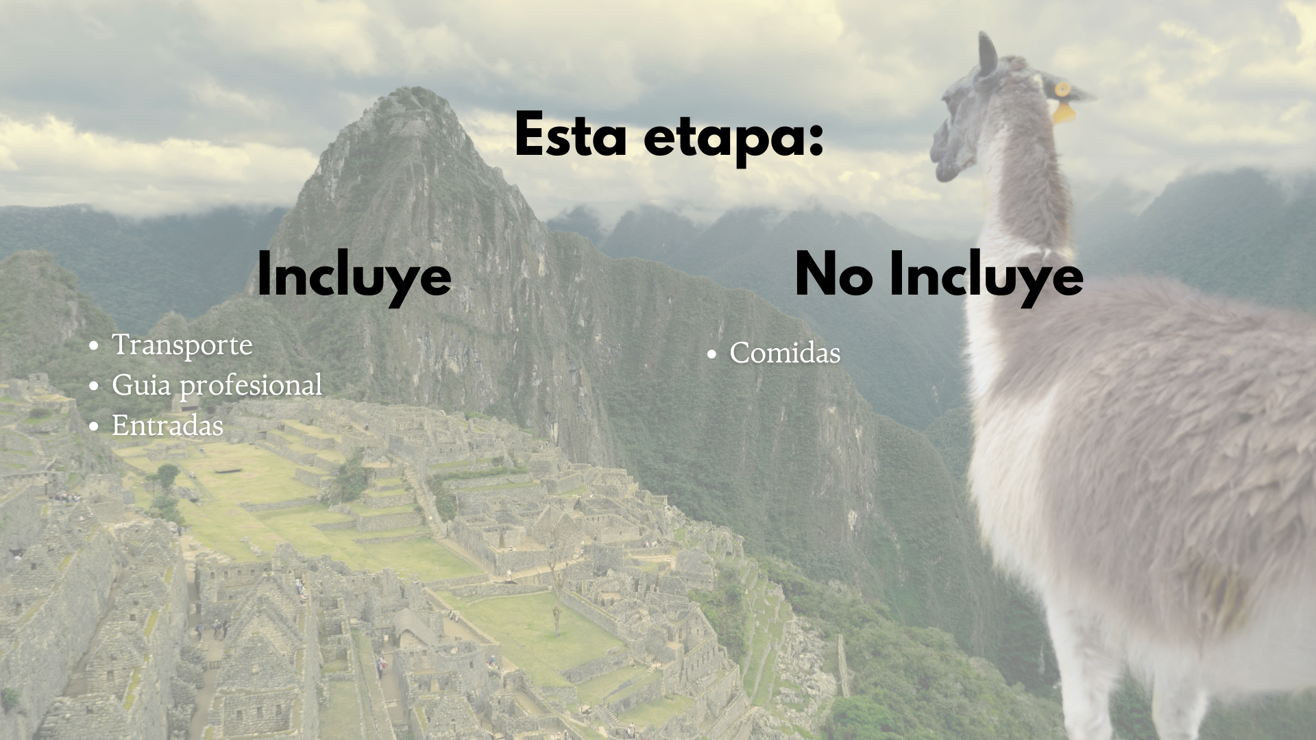 ¡Despierta tu Poder creativo en Perú! 21 Peru 11