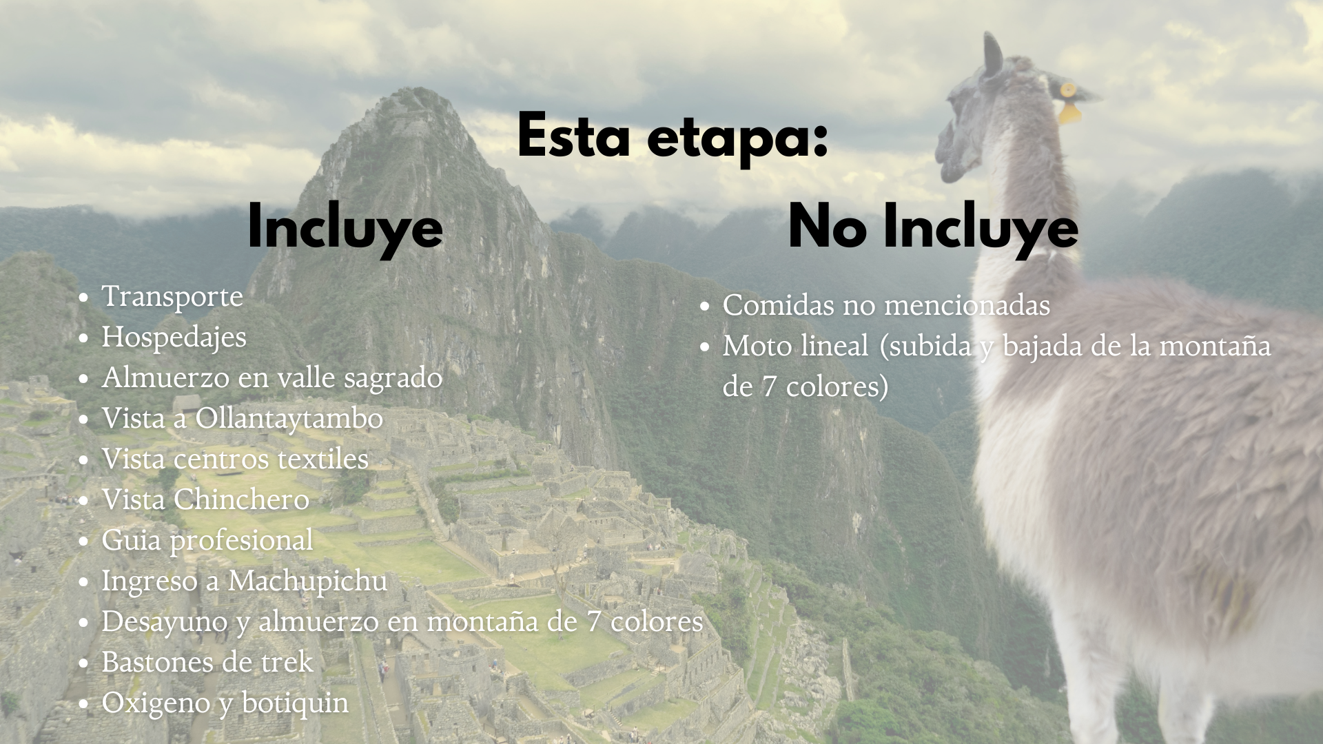 ¡Despierta tu Poder creativo en Perú! 25 Peru 15