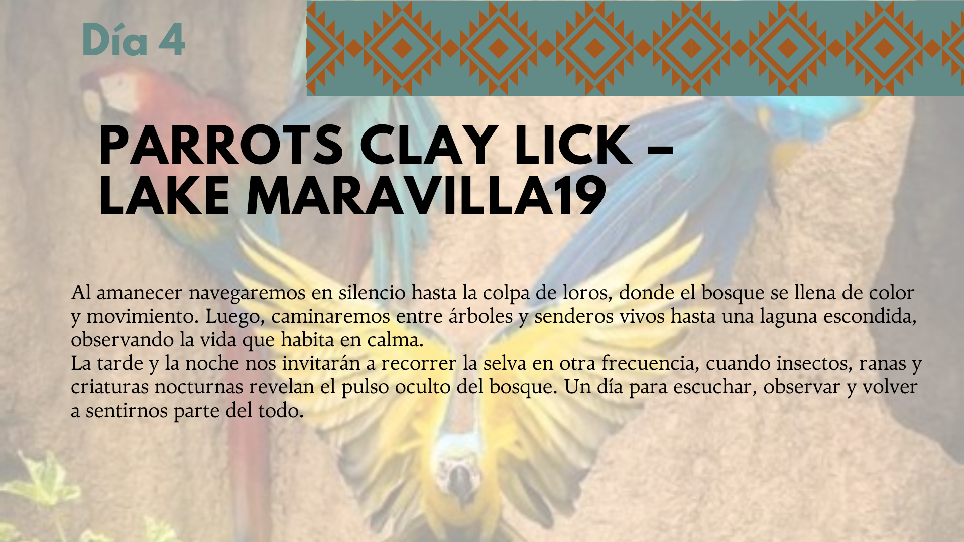 ¡Despierta tu Poder creativo en Perú! 18 Peru 8