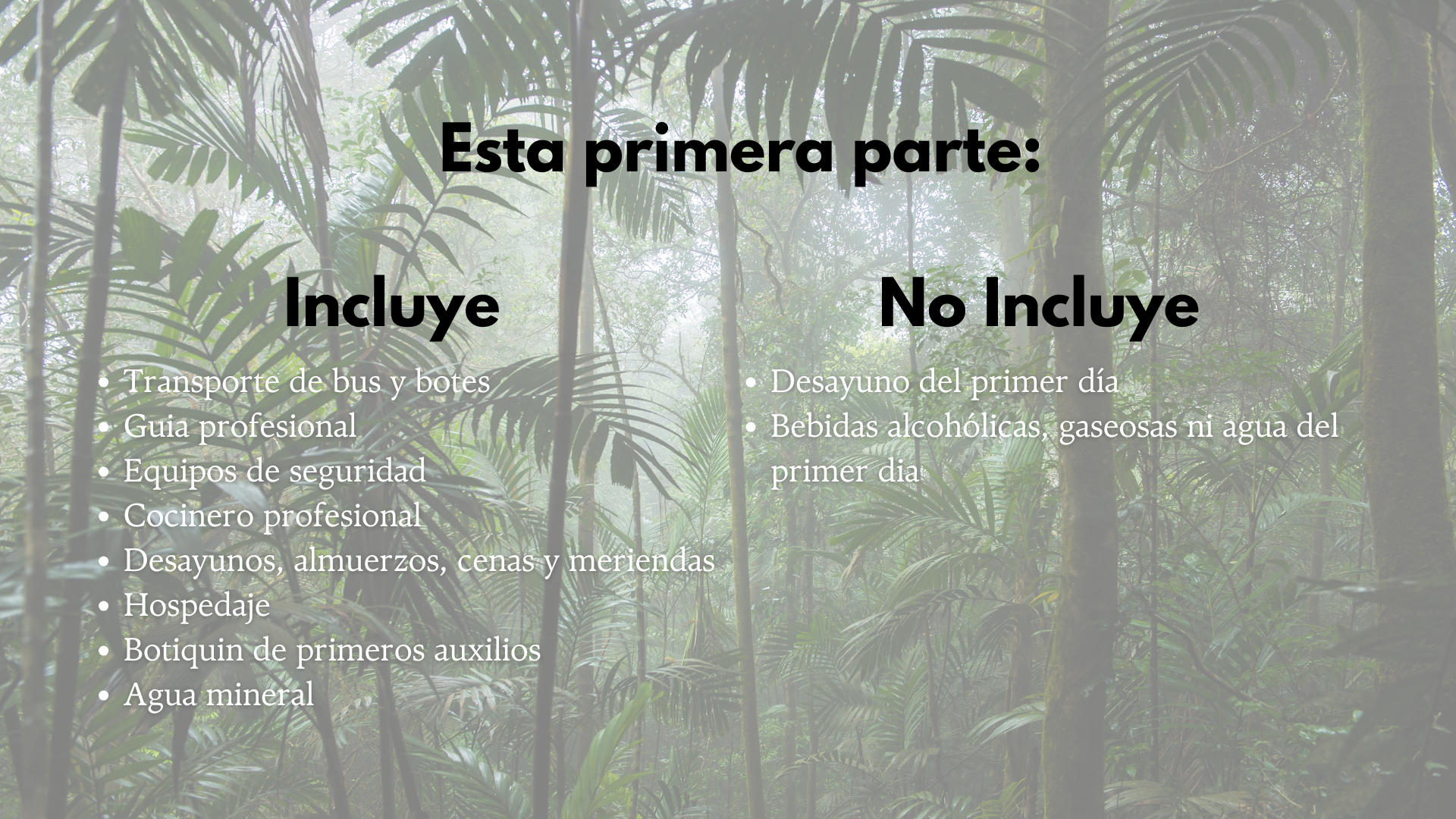 ¡Despierta tu Poder creativo en Perú! 19 Peru 9